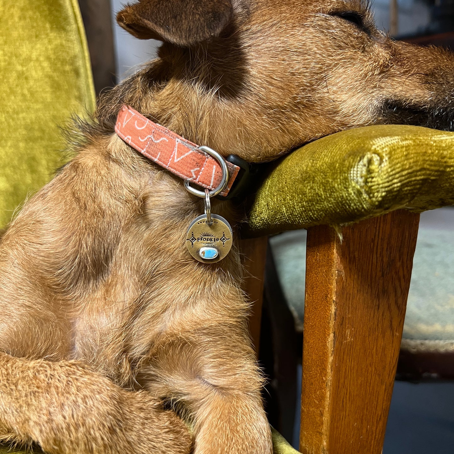 Custom Pet Tags