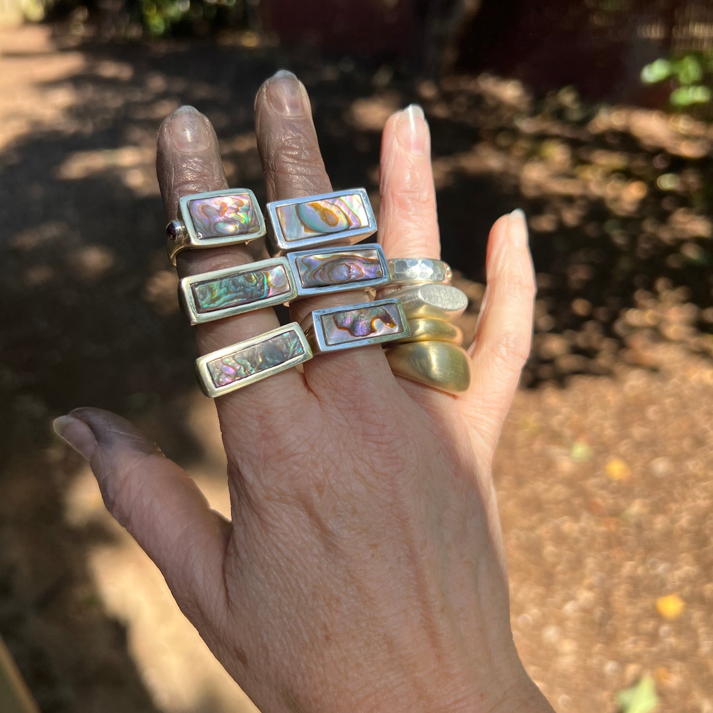 Abalone Signet