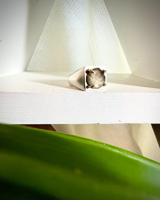 Grey Moonstone Prong Signet
