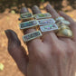 Abalone Signet